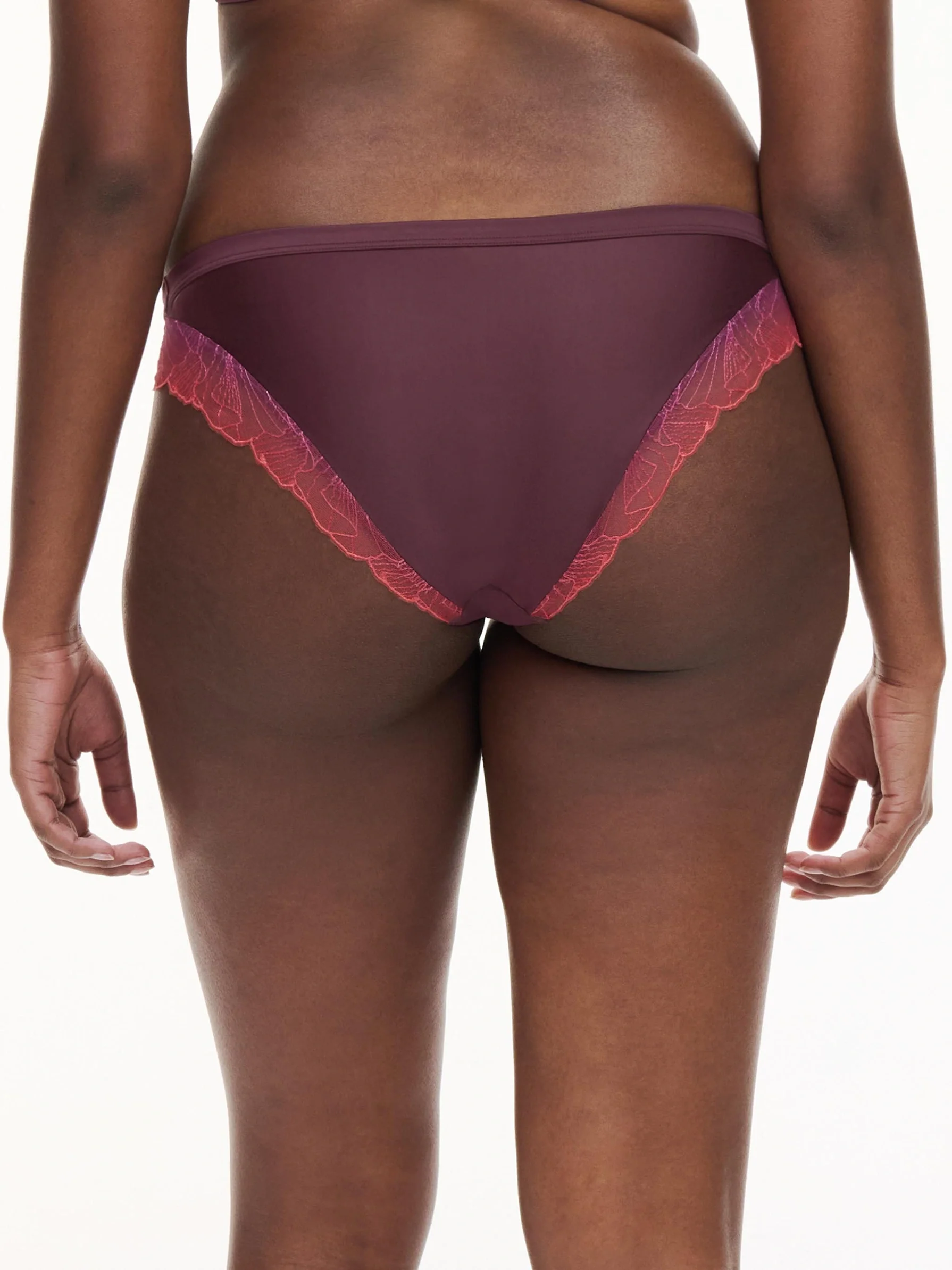 Chantelle Pulp - Tattoo - Briefs - Image 2