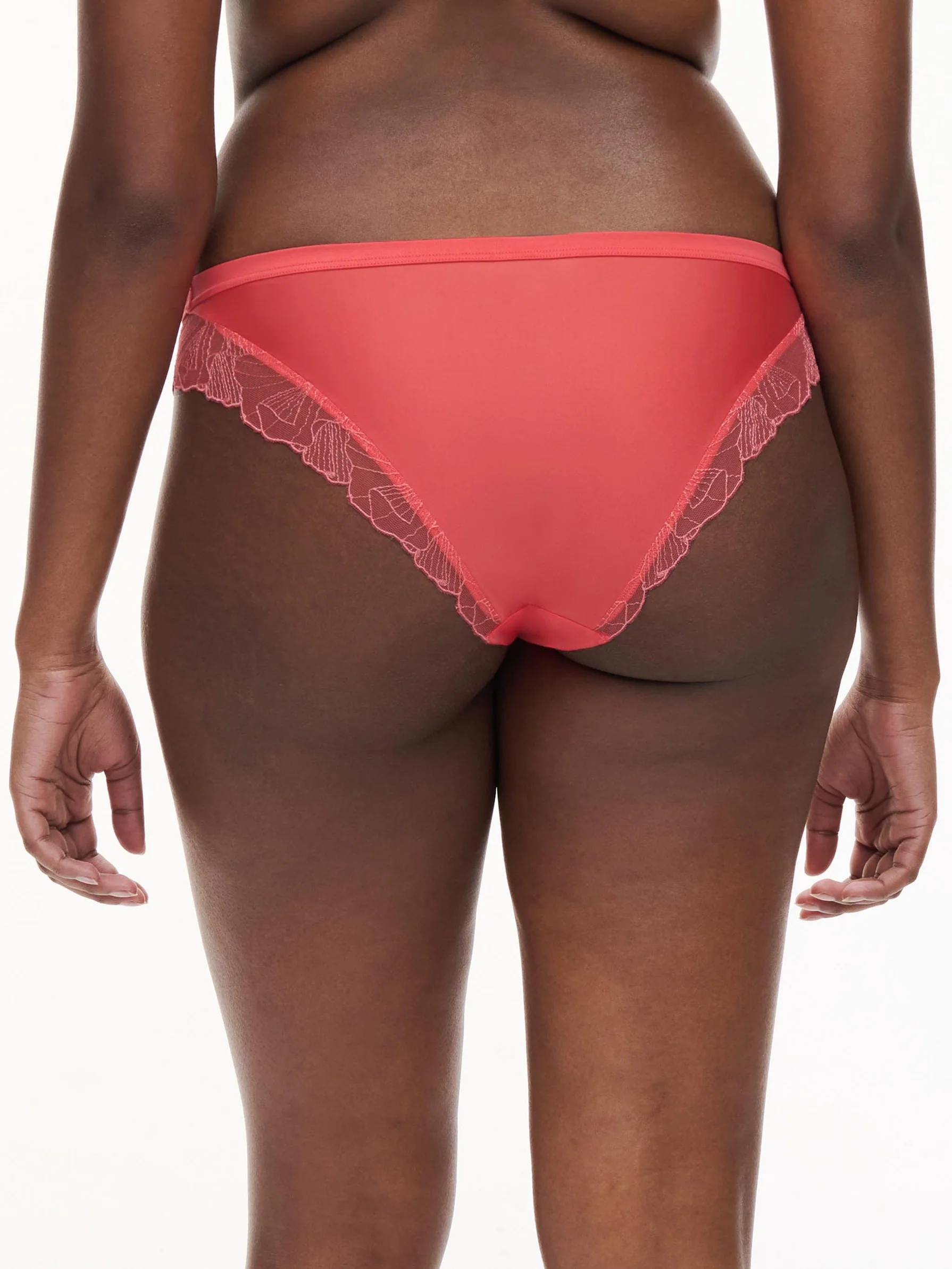Chantelle Pulp - Tattoo - Briefs - Image 5