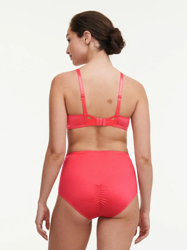 Chantelle Pulp - Tattoo - Underwire Bra - Image 5